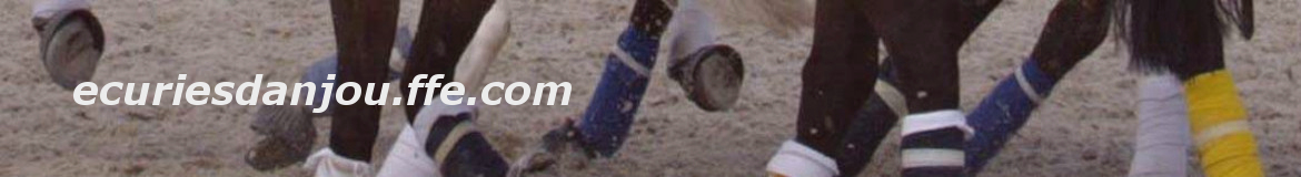 ecuriesdanjou.ffe.com